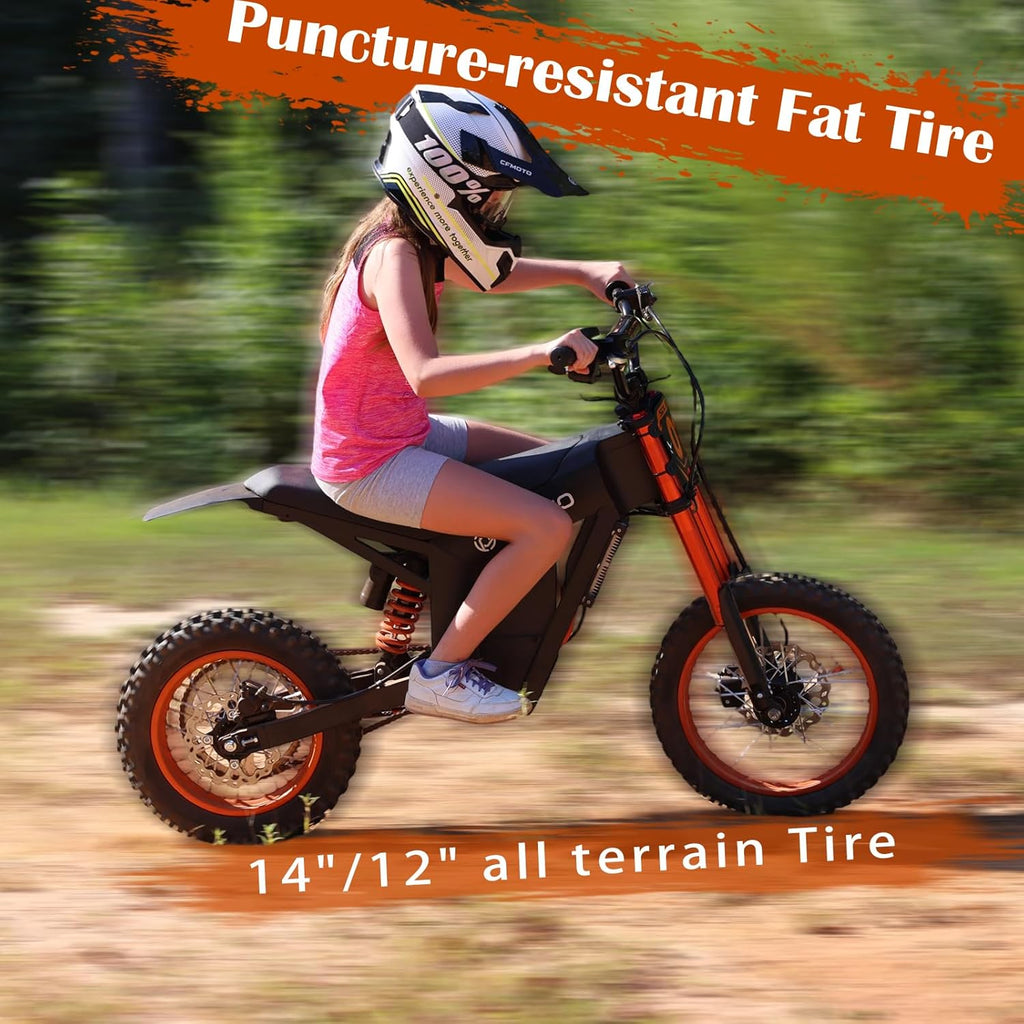 Electric Dirt Bike for Adults, Peak 3000W Motor, High-Torque Off-Road E-Bike with Hydraulic Brakes