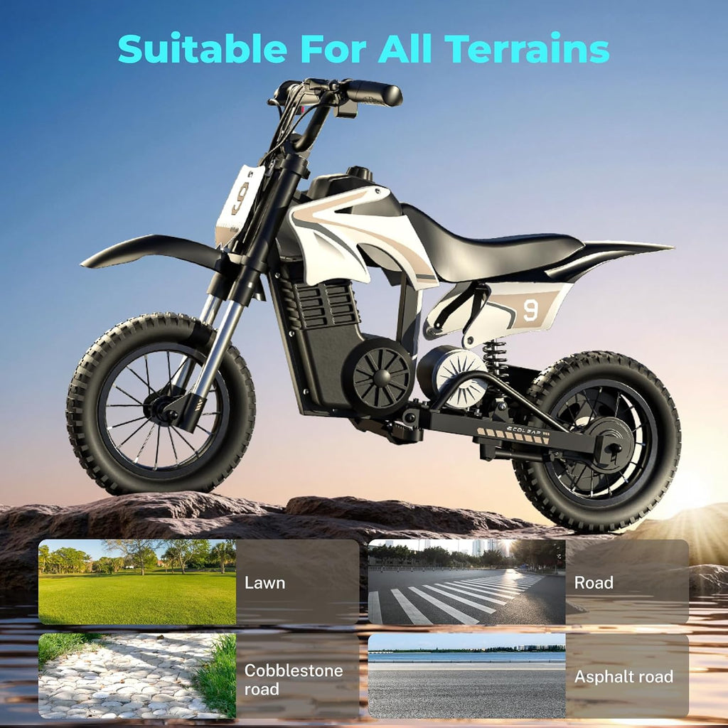 Kids Electric Dirt Bike, 700W Peak Motor, Up to 16 MPH, 14 Mile Range, 3-Speed Modes, Electric Motorcycle for Ages 3–10