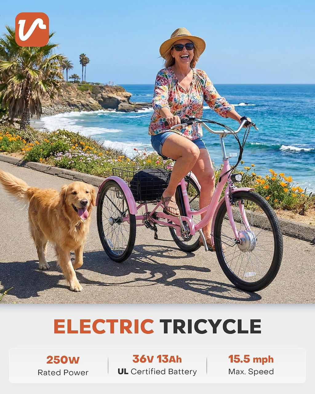24"/26" Electric Tricycle for Adults, Peak 500W Motor, 3-Wheel Electric Bike with Up to 330 lb Capacity